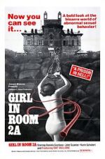 Watch The Girl in Room 2A Primewire