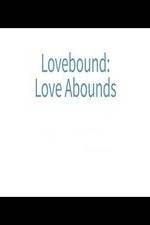 Watch Lovebound: Love Abounds Primewire