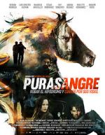 Watch Purasangre Primewire