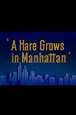 Watch A Hare Grows in Manhattan Primewire