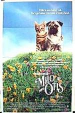 Watch Milo & Otis Primewire