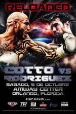 Watch Miguel Cotto vs Delvin Rodriguez Primewire
