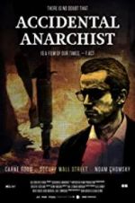 Watch Accidental Anarchist Primewire