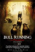 Watch Encierro 3D: Bull Running in Pamplona Primewire