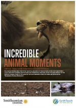 Watch Incredible Animal Moments Primewire