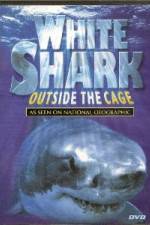 Watch National Geographic white shark:outside the cage Primewire