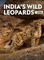Watch India\'s Wild Leopards (Short 2020) Primewire