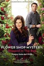 Watch Flower Shop Mystery: Snipped in the Bud Primewire