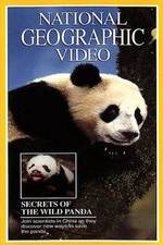 Watch Secrets of the Wild Panda Primewire