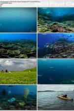 Watch National Geographic: Pacific Ocean Paradise Primewire