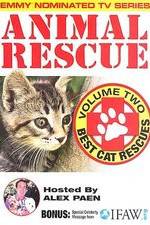 Watch Animal Rescue, Volume 2: Best Cat Rescues Primewire
