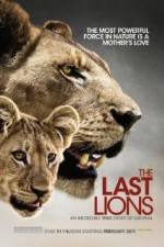 Watch The Last Lions Primewire