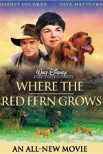 Watch Where the Red Fern Grows Primewire