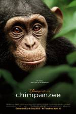 Watch Chimpanzee Primewire