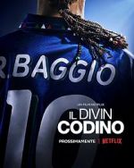 Watch Baggio: The Divine Ponytail Primewire