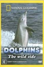 Watch Dolphins: The Wild Side Primewire