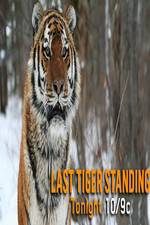 Watch Discovery Channel-Last Tiger Standing Primewire