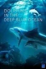 Watch Dolphins in the Deep Blue Ocean Primewire