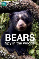 Watch Bears: Spy in the Woods Primewire