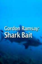 Watch Gordon Ramsay: Shark Bait Primewire