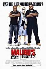 Watch Malibu's Most Wanted Primewire