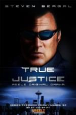 Watch True Justice: Brotherhood Primewire