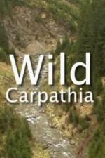 Watch Wild Carpathia Primewire