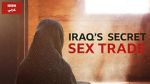 Watch Undercover with the Clerics: Iraq\'s Secret Sex Trade Primewire