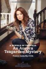 Watch A Bundle of Trouble: An Aurora Teagarden Mystery Primewire