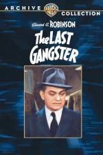 Watch The Last Gangster Primewire