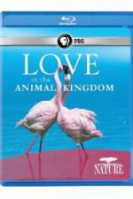 Watch Nature: Love in the Animal Kingdom Primewire