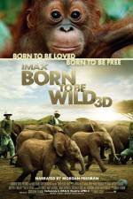 Watch Born to Be Wild Primewire