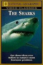 Watch National Geographic The Sharks Primewire