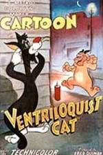 Watch Ventriloquist Cat Primewire