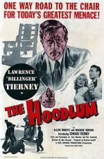 Watch The Hoodlum Primewire