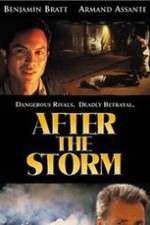 Watch After the Storm Primewire