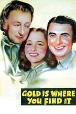 Watch Gold Is Where You Find It Primewire