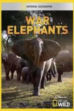 Watch War Elephants Primewire