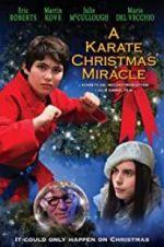 Watch A Karate Christmas Miracle Primewire