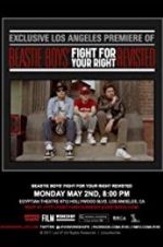Watch Beastie Boys: Fight for Your Right Revisited Primewire