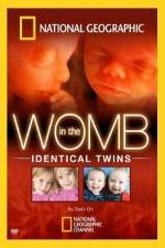 Watch National Geographic: In the Womb - Identical Twins Primewire