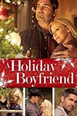 Watch A Holiday Boyfriend Primewire