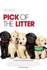 Watch Pick of the Litter Primewire