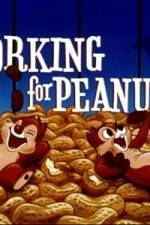 Watch Working For Peanuts Primewire
