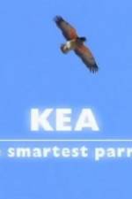 Watch Kea - The Smartest Parrot Primewire