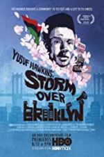 Watch Yusuf Hawkins: Storm Over Brooklyn Primewire