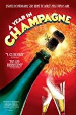 Watch A Year in Champagne Primewire