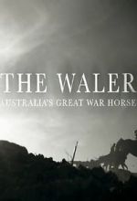 Watch The Waler: Australia\'s Great War Horse Primewire