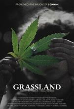 Watch Grassland Primewire