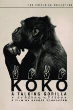 Watch Koko, le gorille qui parle Primewire